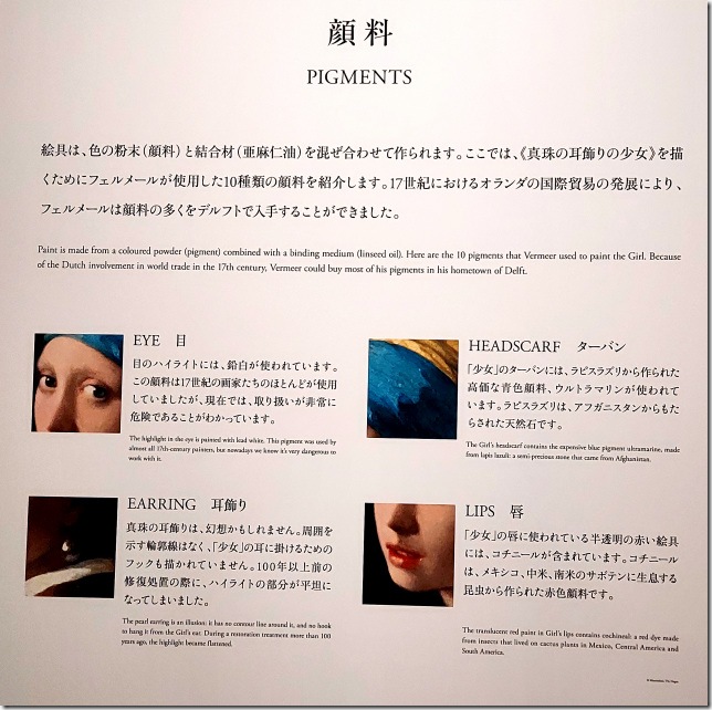 013顔料説明